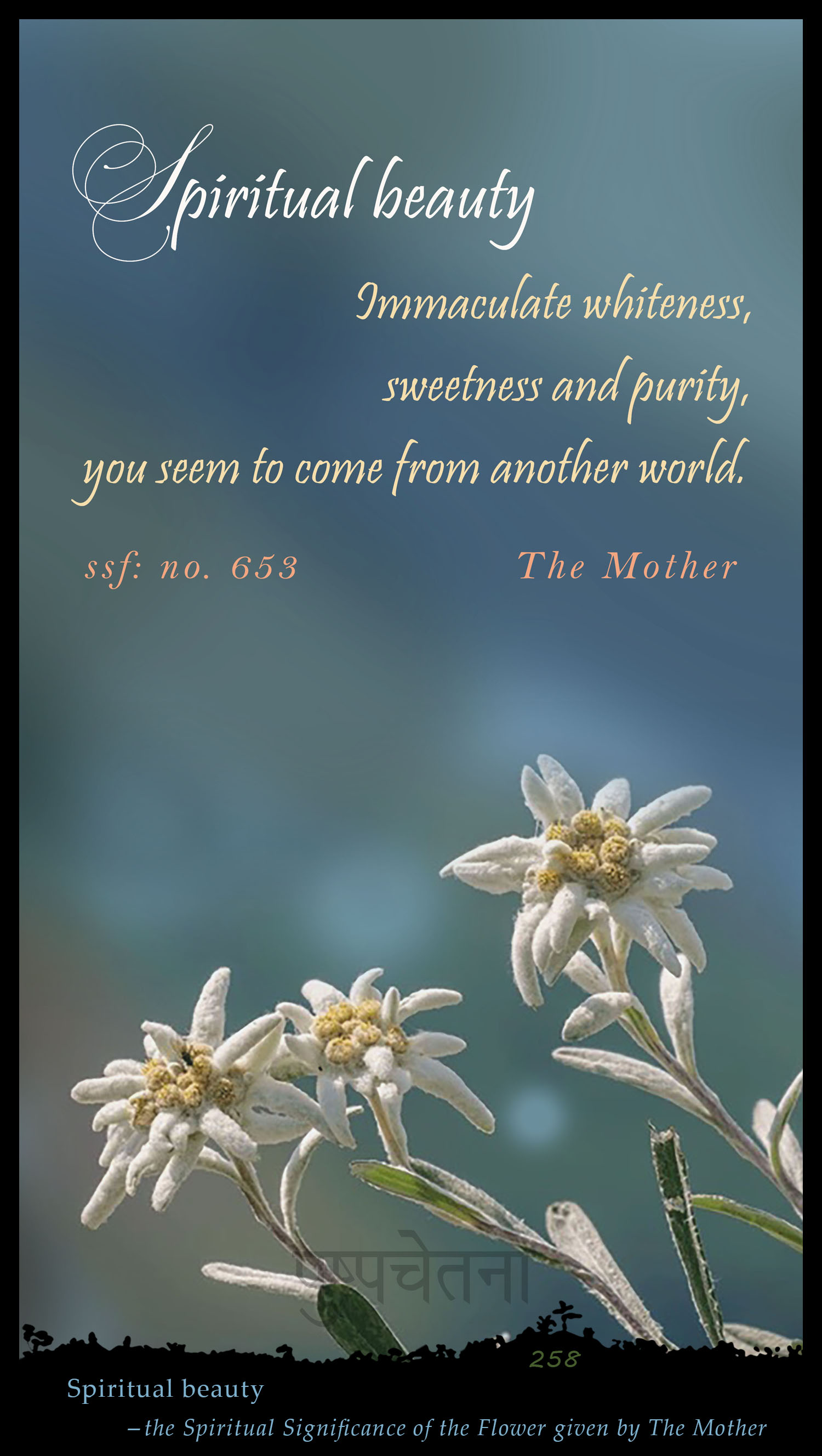 Spiritual Beauty